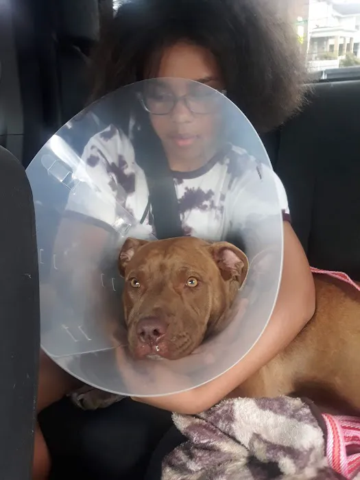 Jefferson County Humane Society Veterinarian Clinic 5