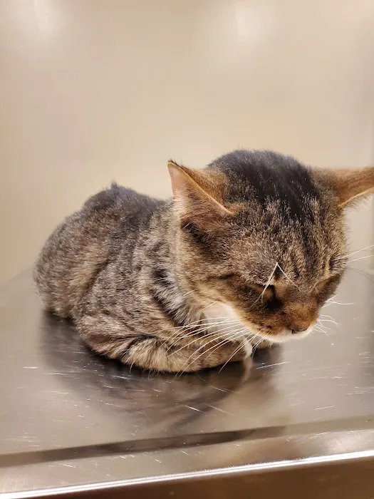 Jefferson County Humane Society Veterinarian Clinic 3