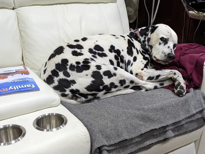 Community Care Animal Hospital 6