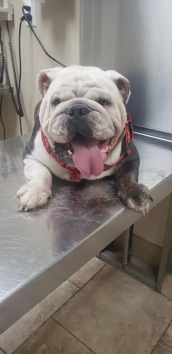 Liberty Veterinary Hospital- Parks Troy J DVM 3