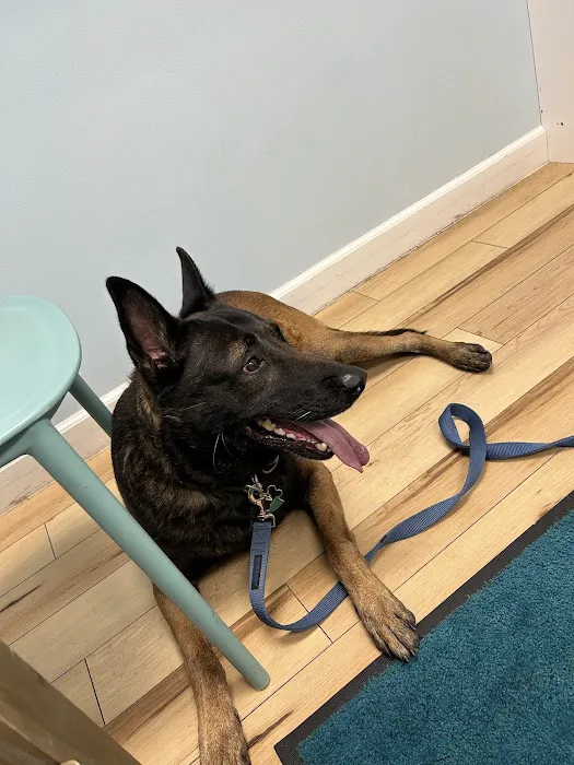 Animal Wellness and Healing Center 1