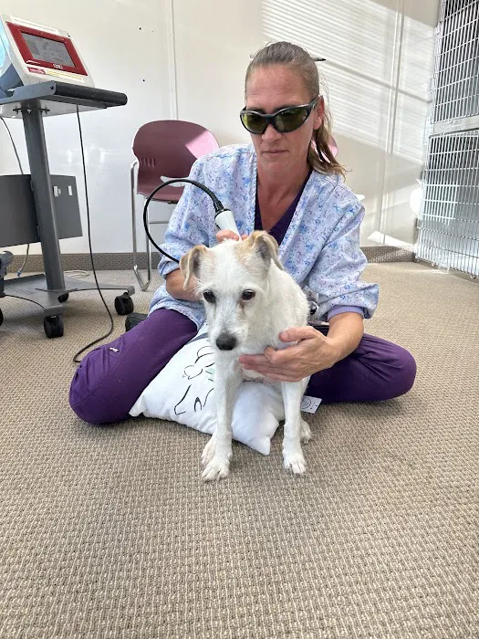 Animal Wellness and Healing Center 10