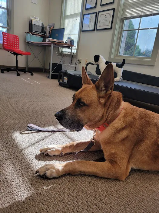 Animal Wellness and Healing Center 5