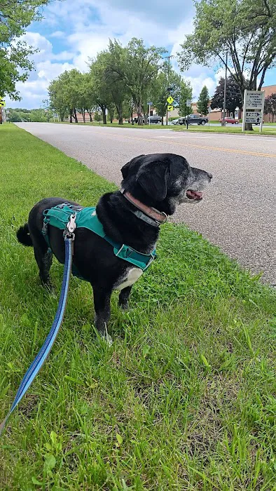 Animal Wellness and Healing Center 2