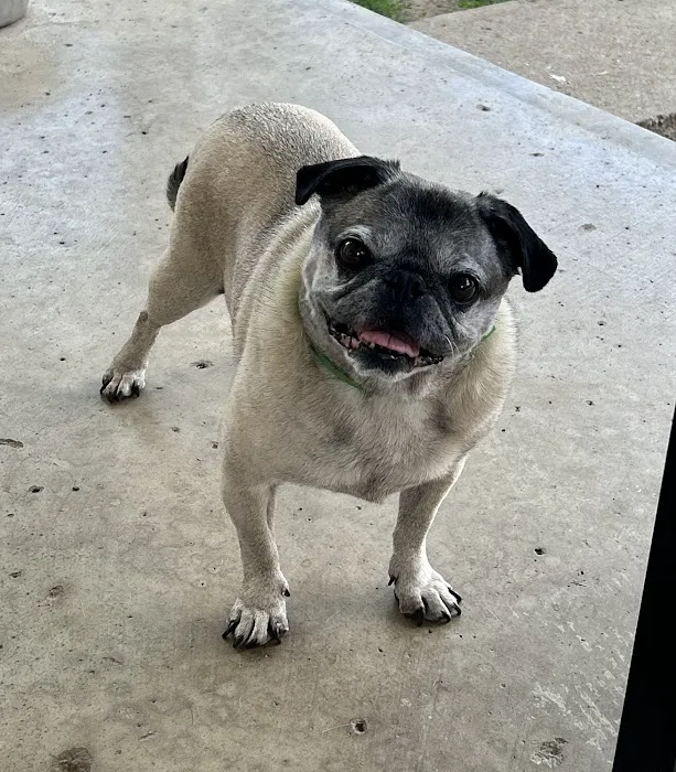 Hufnagel Veterinary Clinic 7
