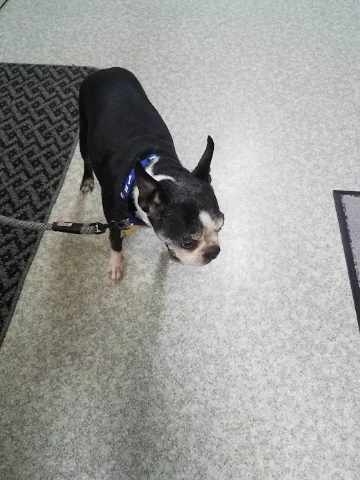Grand Valley Veterinary Hospital 7