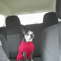 Grand Valley Veterinary Hospital ico