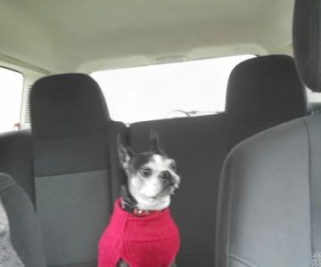 Grand Valley Veterinary Hospital