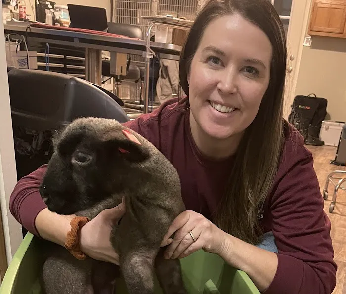 Gustavus Veterinary Services 9