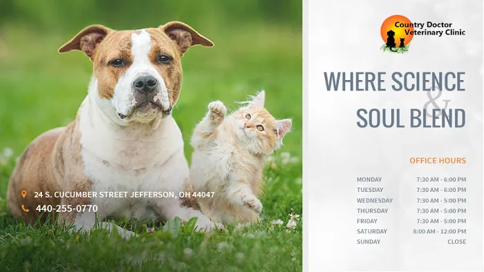 Country Doctor Veterinary Clinic 1