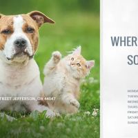 Country Doctor Veterinary Clinic ico