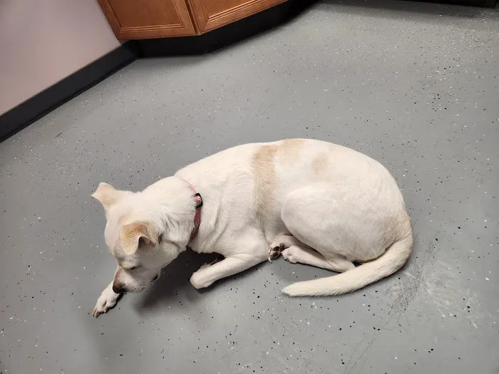 Jefferson Veterinary Clinic 1
