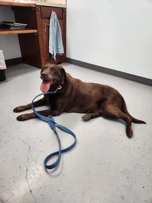 Jefferson Veterinary Clinic 7