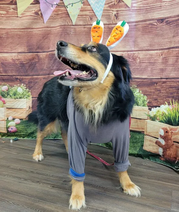 Austinburg Veterinary Clinic 6