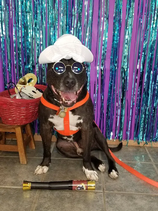 Austinburg Veterinary Clinic 7
