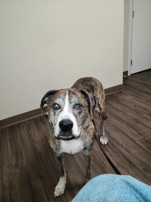 Austinburg Veterinary Clinic 10