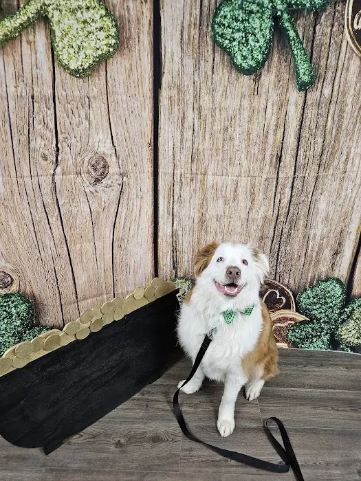 Austinburg Veterinary Clinic 8