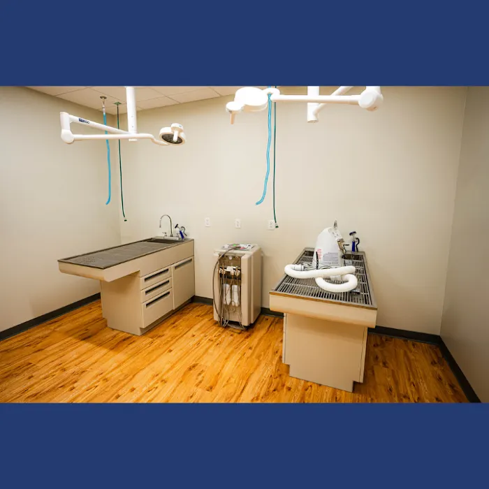 Dogwood Trails Animal Hospital 10