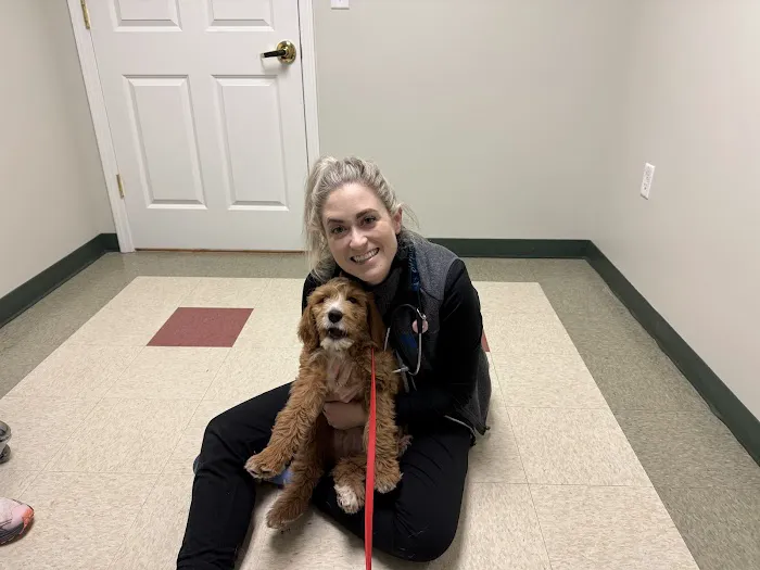 Dogwood Trails Animal Hospital 1