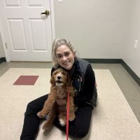 Dogwood Trails Animal Hospital ico