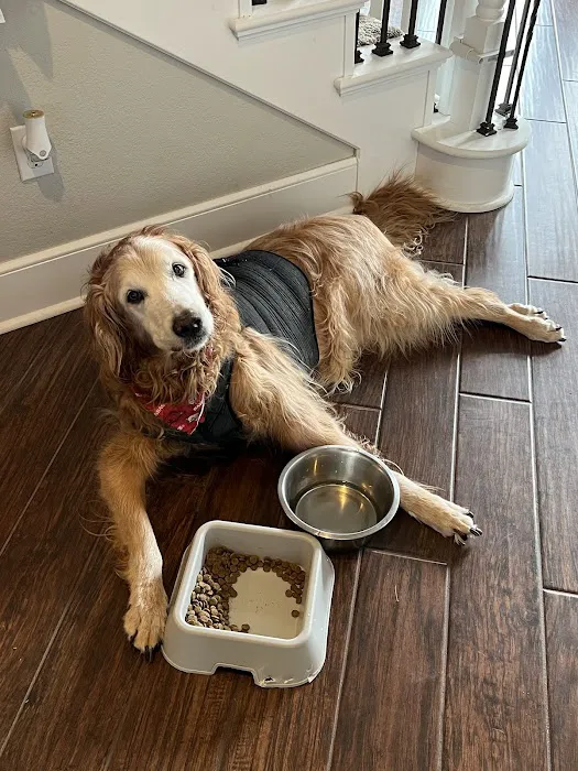 Vetco Total Care Animal Hospital 4