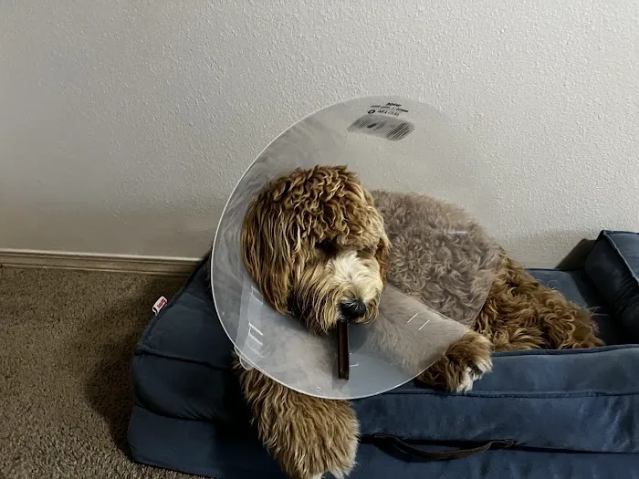 Vetco Total Care Animal Hospital 8