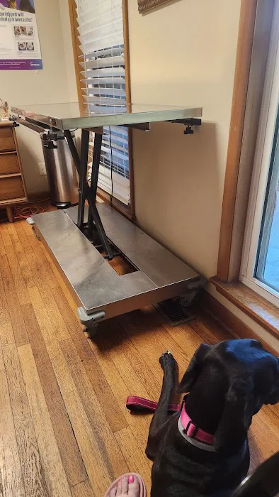 All Dogs Clinic 4