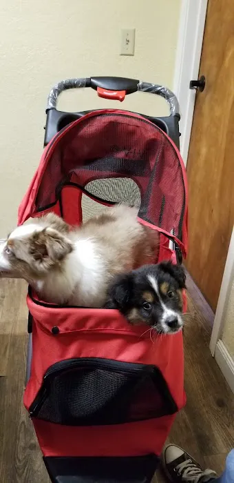 Animal Medical Center Midtown 2