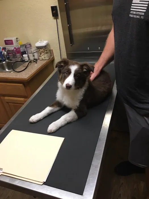 Animal Medical Center Midtown 6