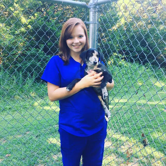 Animal Medical Center Midtown 10