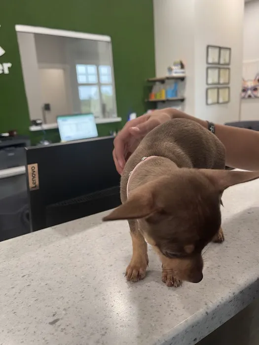 Animal Medical Center at Pinnacle Hills 5