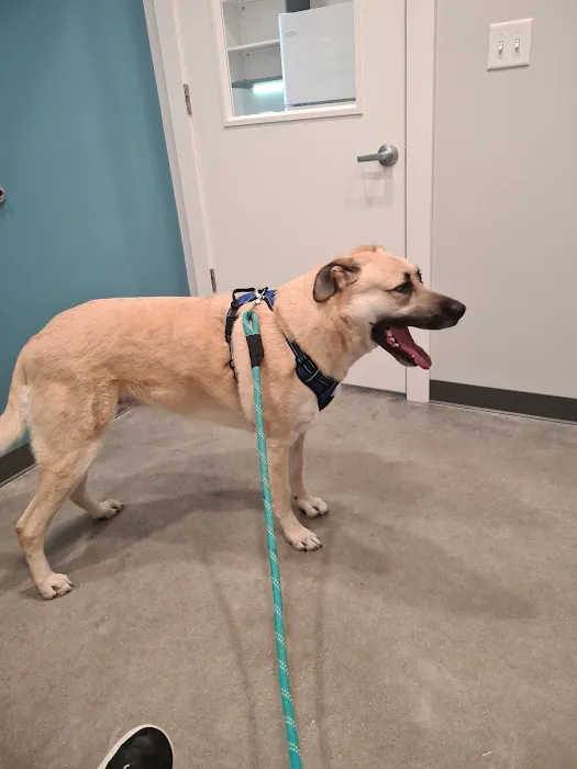 Animal Medical Center at Pinnacle Hills 8