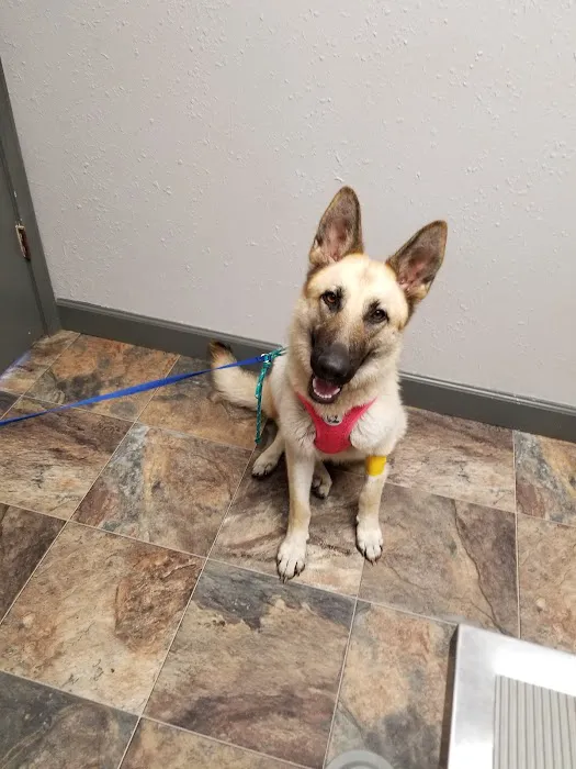 Vinita Veterinary Center 1