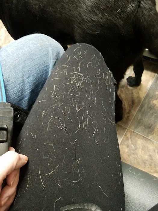 Vinita Veterinary Center 4