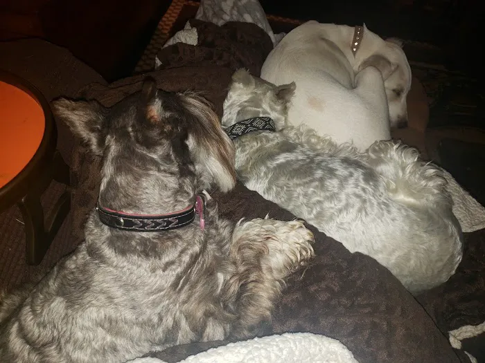 Vinita Veterinary Center 3