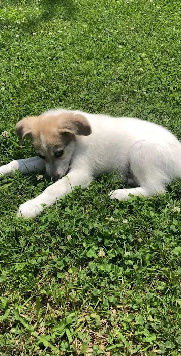 Vinita Veterinary Center 8