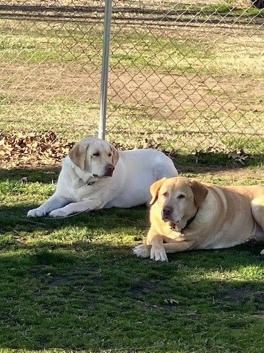 Hometown Pet Care 7