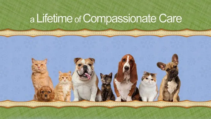 Hometown Pet Care 2