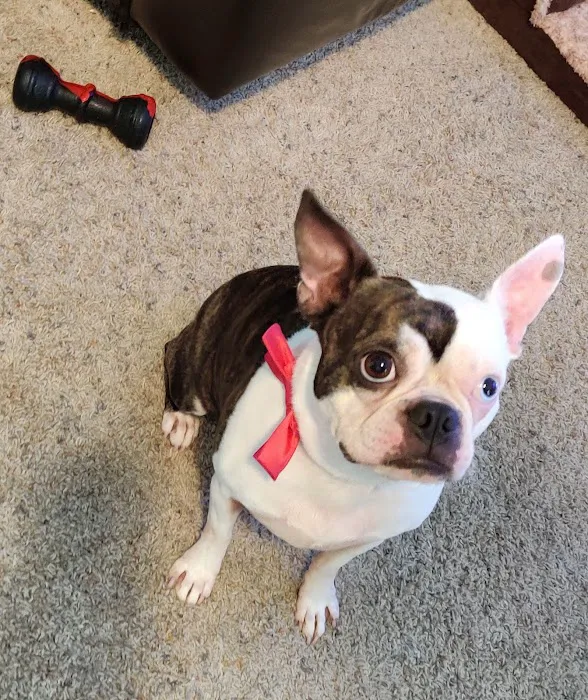 Miami Animal Hospital 7