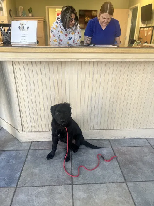 Ravenwood Veterinary Clinic 6