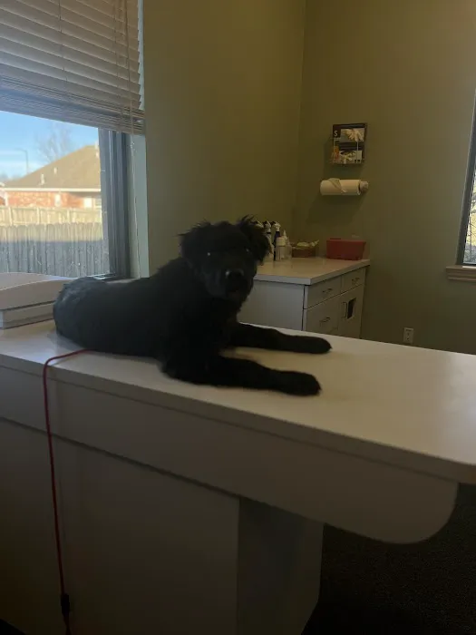Ravenwood Veterinary Clinic 3