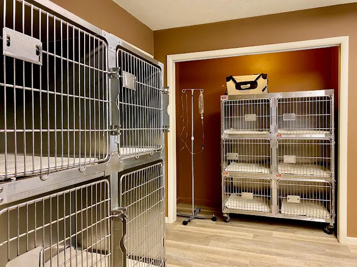 All Creatures Veterinary Clinic 7