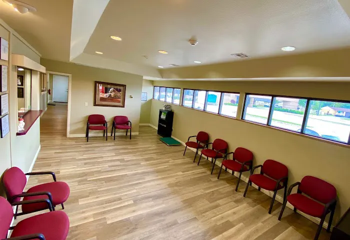 All Creatures Veterinary Clinic 9