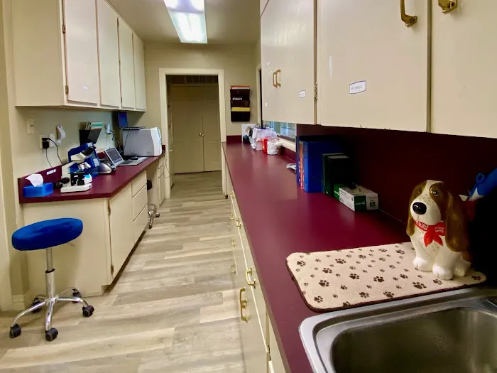 All Creatures Veterinary Clinic 3
