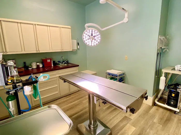All Creatures Veterinary Clinic 2