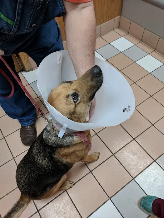 Siloam Springs Veterinary Clinic 7