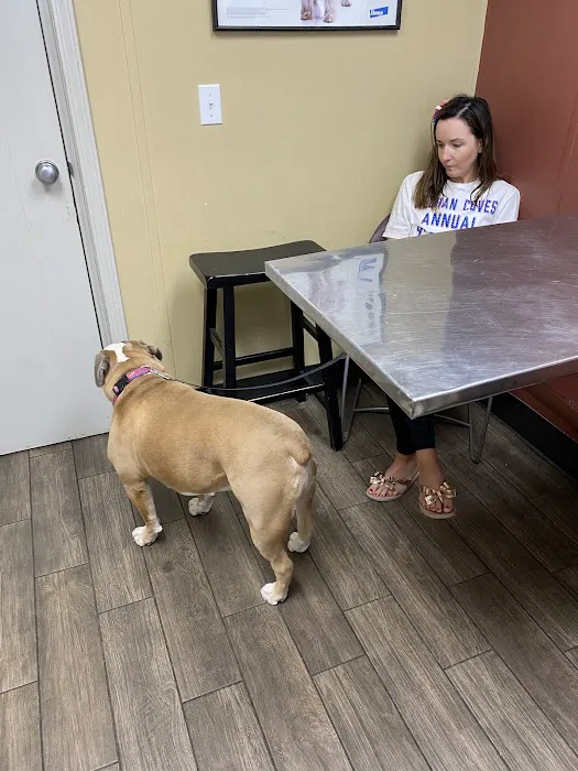 Siloam Springs Veterinary Clinic 6