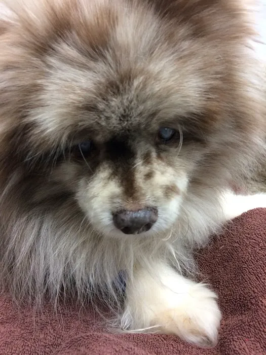 Lunsford Veterinary Care Center 7