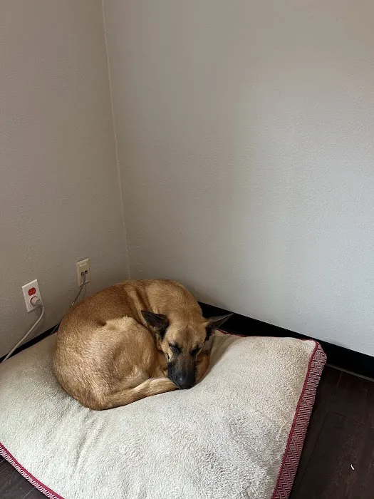 Lunsford Veterinary Care Center 5