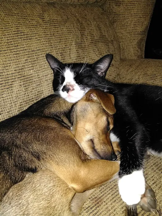 Lunsford Veterinary Care Center 8